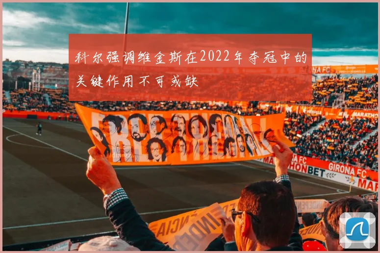科尔强调维金斯在2022年夺冠中的关键作用不可或缺